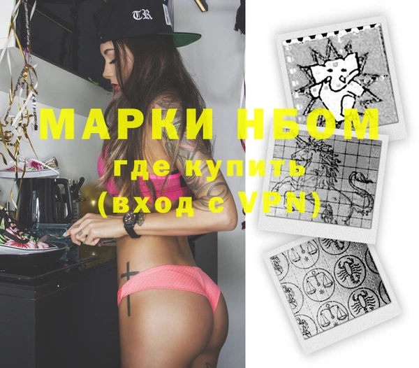 ECSTASY Кедровый